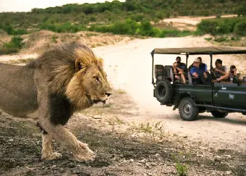 south Africa tourism